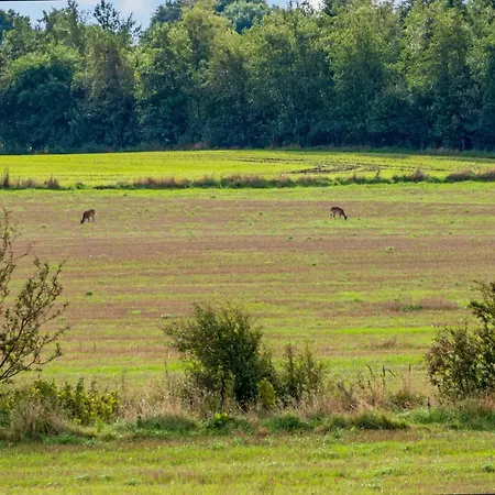 2 Bedroom Gorgeous In Feriehus Roslev